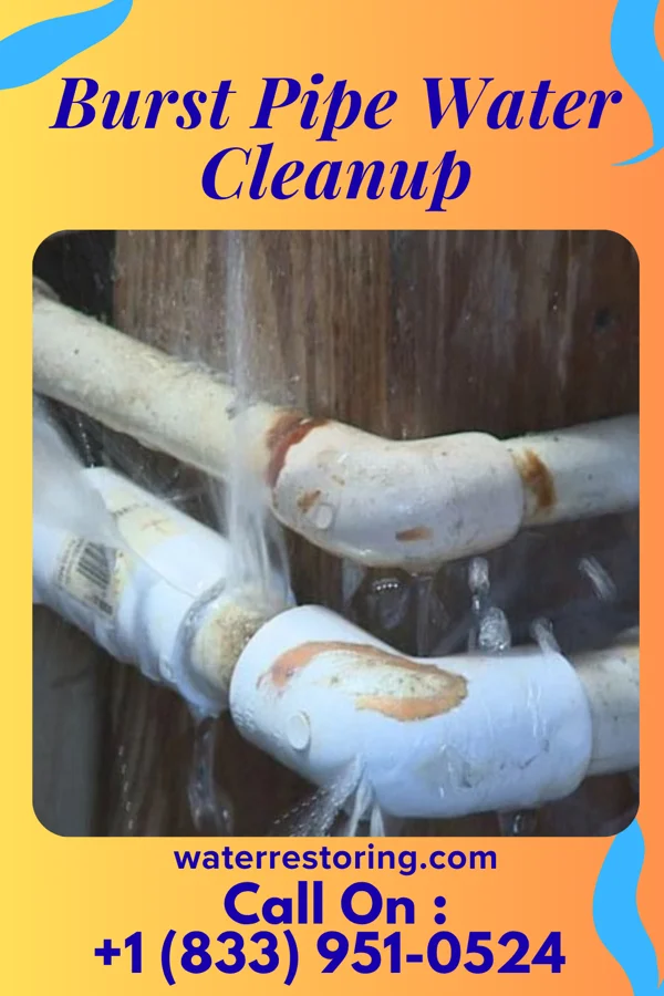 Burst Pipe Water Cleanup in Glasgow, DE