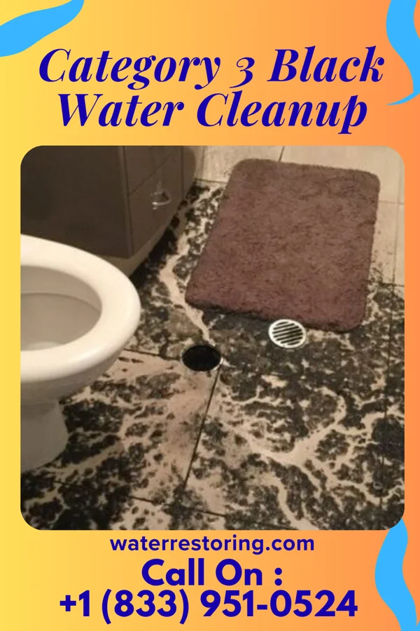 Category 3 Black Water Cleanup in Glasgow, DE