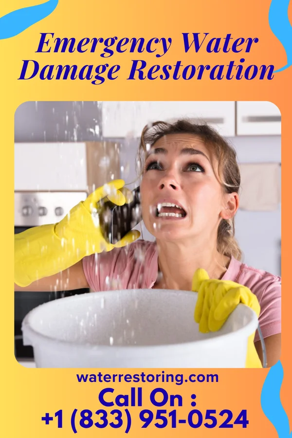 Emergency Water Damage Restoration in Glasgow, DE